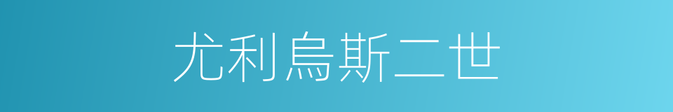 尤利烏斯二世的同義詞