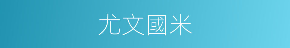 尤文國米的同義詞