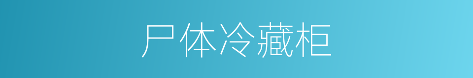 尸体冷藏柜的同义词