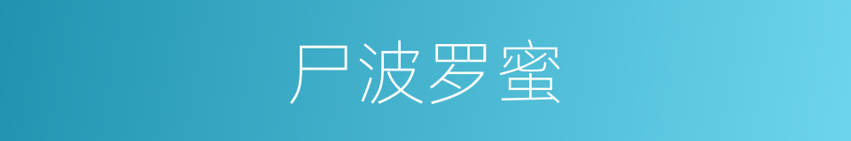 尸波罗蜜的意思