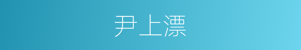 尹上漂的同义词