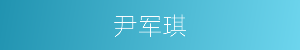 尹军琪的同义词