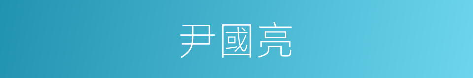 尹國亮的同義詞