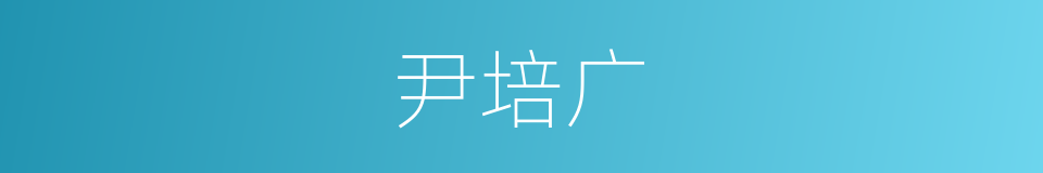 尹培广的同义词