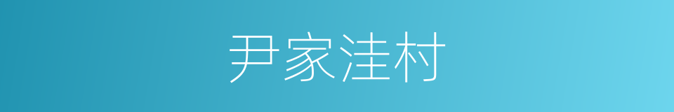 尹家洼村的同义词