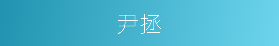 尹拯的同义词