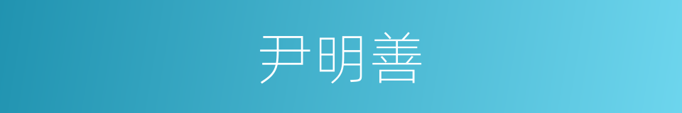 尹明善的同义词