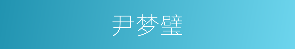 尹梦璧的同义词