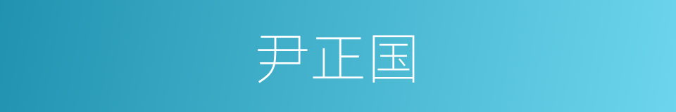 尹正国的同义词