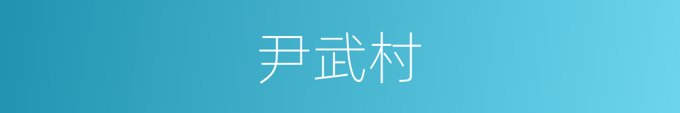 尹武村的同义词