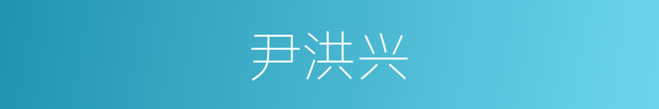 尹洪兴的同义词