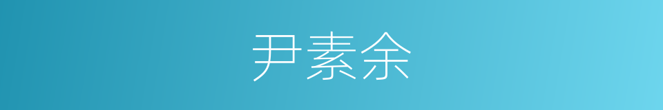 尹素余的同义词