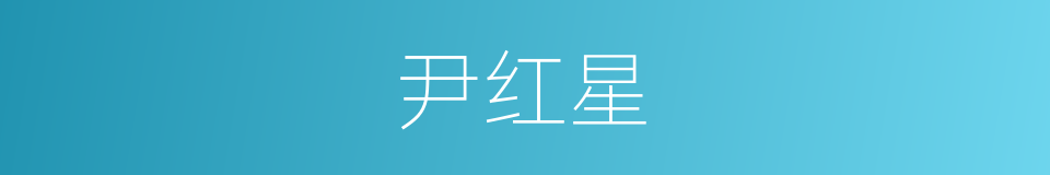 尹红星的同义词