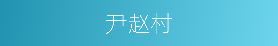 尹赵村的同义词