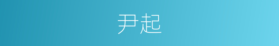 尹起的同义词
