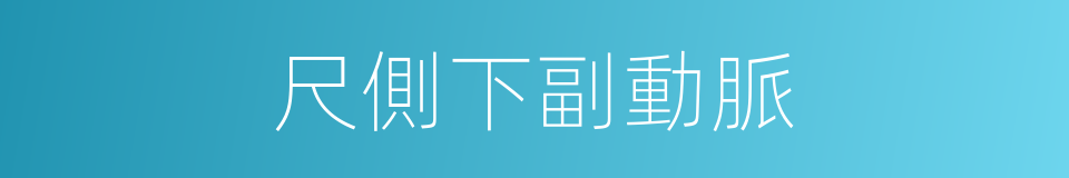 尺側下副動脈的同義詞