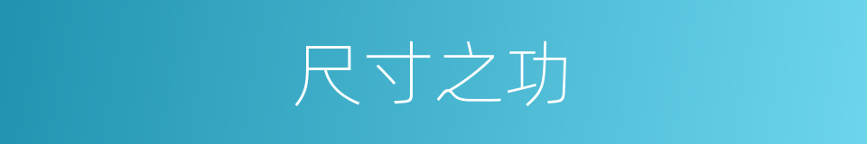 尺寸之功的意思