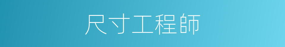 尺寸工程師的同義詞
