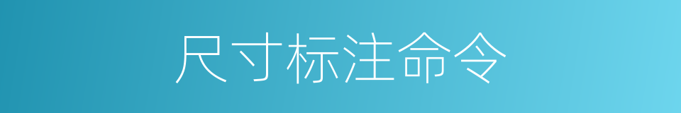 尺寸标注命令的同义词
