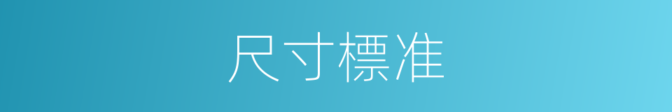 尺寸標准的同義詞