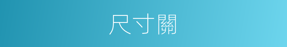 尺寸關的同義詞