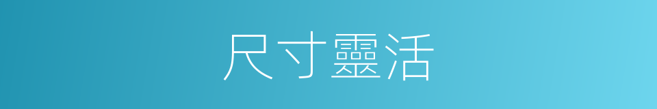 尺寸靈活的同義詞