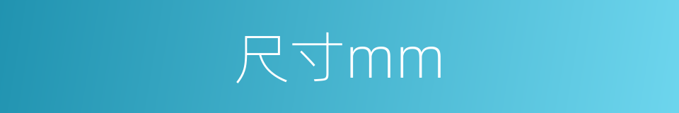 尺寸mm的同义词