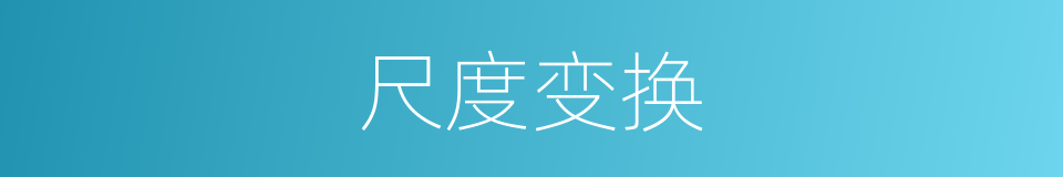 尺度变换的同义词