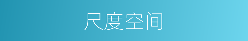 尺度空间的同义词
