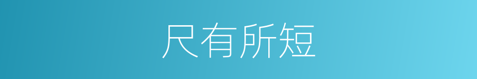 尺有所短的意思