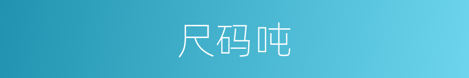 尺码吨的同义词