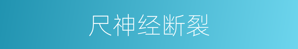 尺神经断裂的同义词