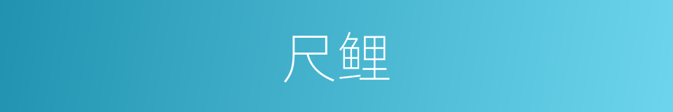 尺鲤的意思