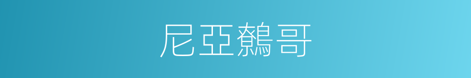 尼亞鷯哥的同義詞