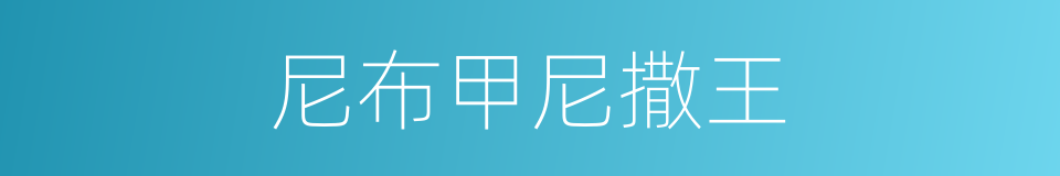 尼布甲尼撒王的同义词