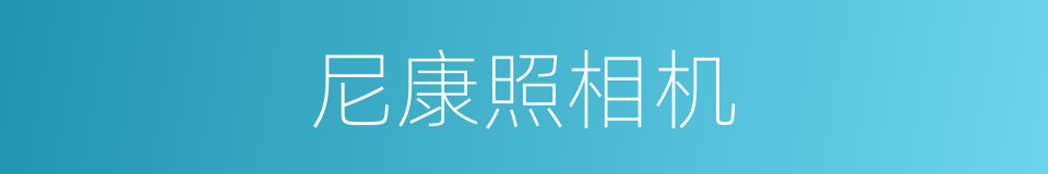 尼康照相机的同义词