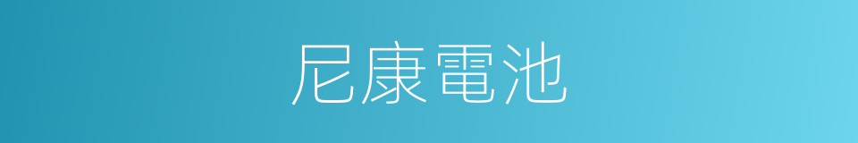 尼康電池的同義詞