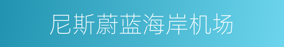 尼斯蔚蓝海岸机场的同义词