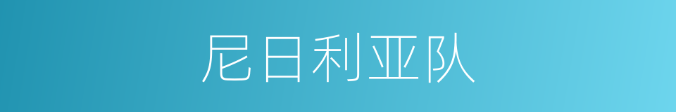 尼日利亚队的同义词
