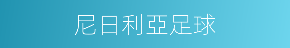 尼日利亞足球的同義詞