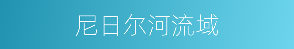 尼日尔河流域的同义词