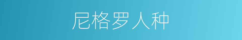 尼格罗人种的意思
