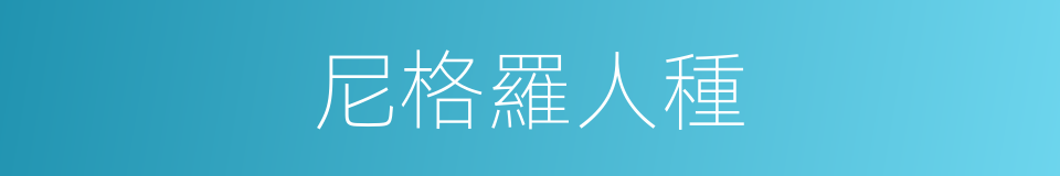 尼格羅人種的意思