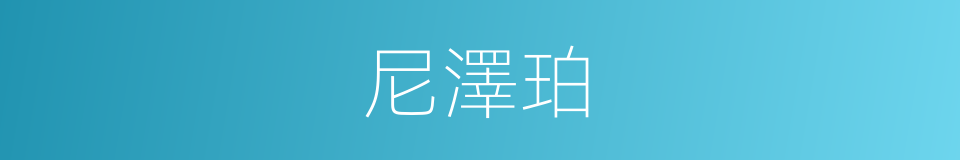 尼澤珀的同義詞