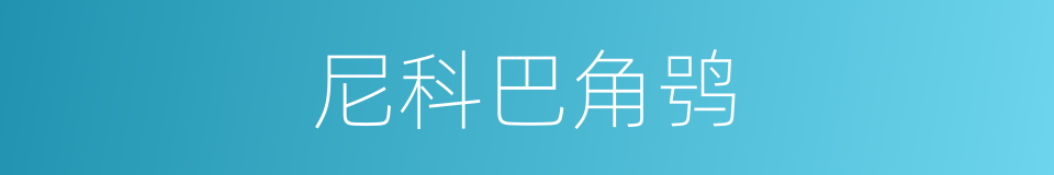 尼科巴角鸮的同义词