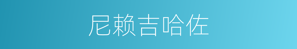 尼赖吉哈佐的同义词