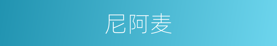 尼阿麦的同义词