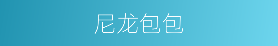 尼龙包包的同义词
