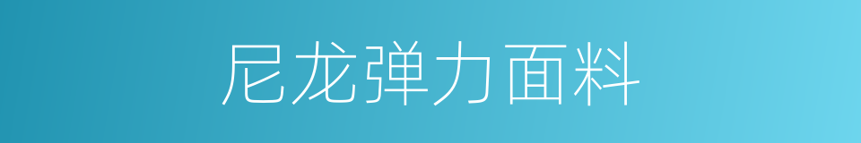 尼龙弹力面料的同义词