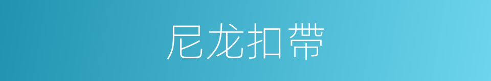 尼龙扣帶的同義詞